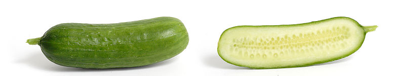 Cucumber